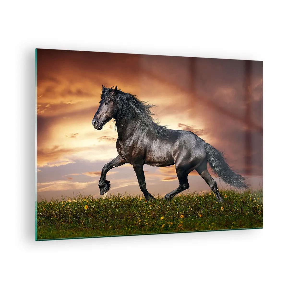 Obraz na szkle - Czarny koń galopujący na tle zachodzącego słońca - 70x50cm - Czarny książę - Nowoczesna dekoracja ścienna do salonu i sypialni ARTTOR
