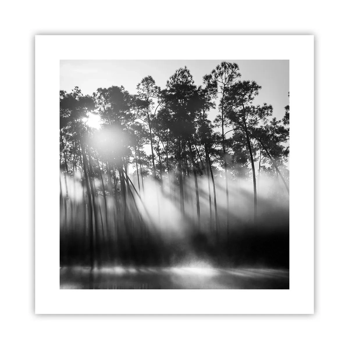 Plakat - Niepowstrzymane słońce - 40x40 cm