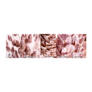 Fototapeta Próbka Samoprzylepna Deluxe Sticker - Z pozoru niepozorne - Suszony Kwiat, Kwiat, Łąka - 100x30 cm