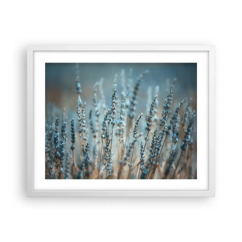 Plakat w białej ramie - Pachnący łan - 50x40 cm