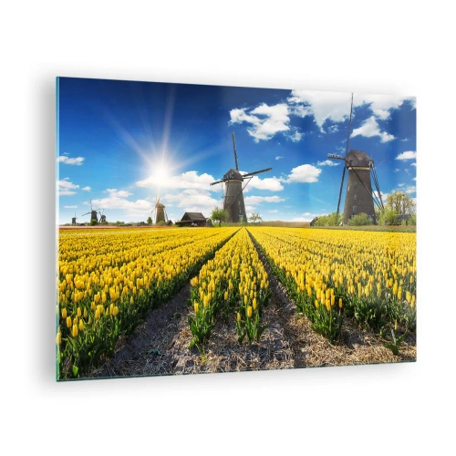 Obraz na szkle - Pole żółtych tulipanów z wiatrakami w tle w słoneczny dzień - 70x50cm - Bardziej holenderski być nie może - Nowoczesna dekoracja ścienna do salonu i sypialni ARTTOR