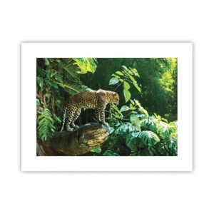 Plakat - Na łowy? - 40x30 cm