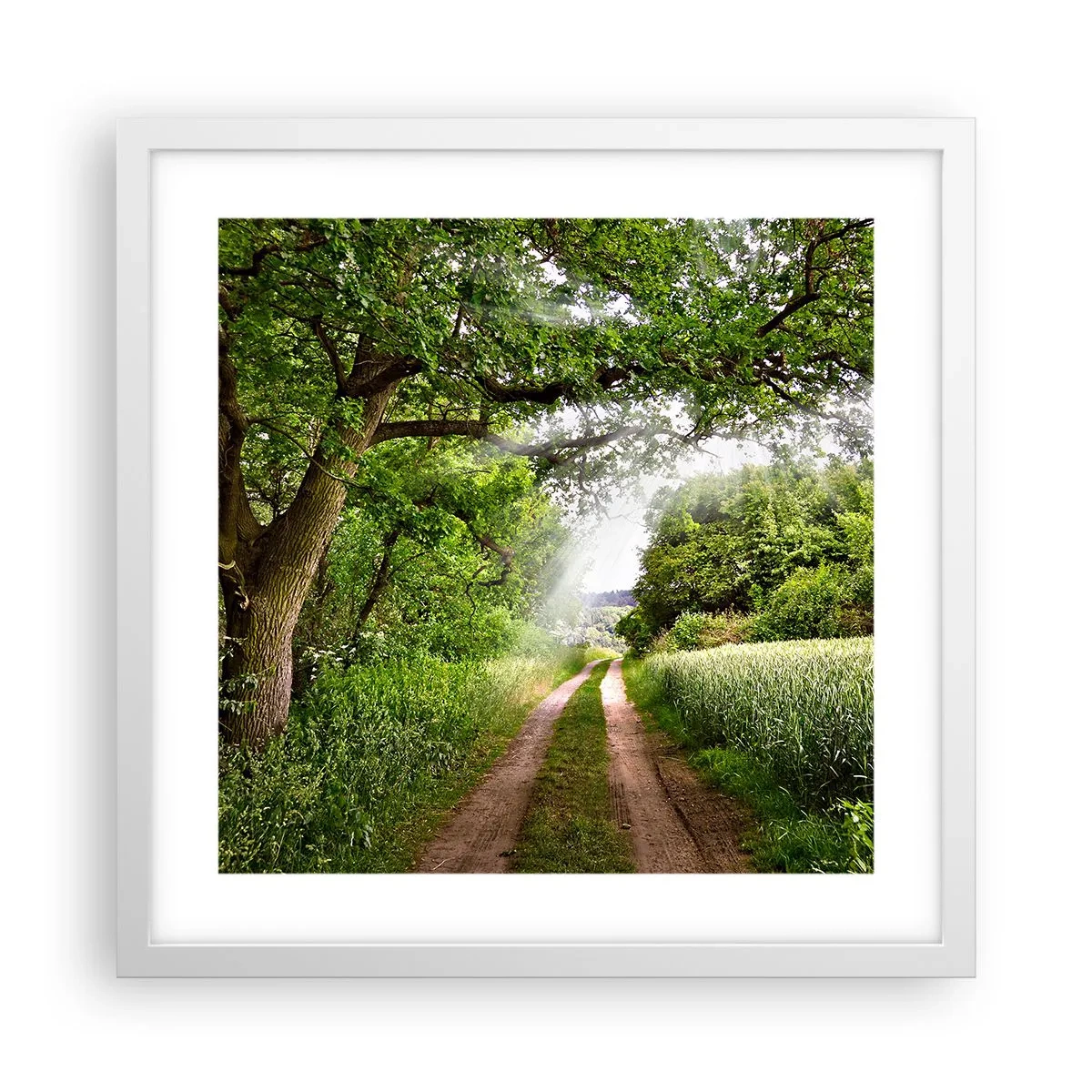 Plakat w białej ramie - Et in Arcadia ego - 40x40 cm