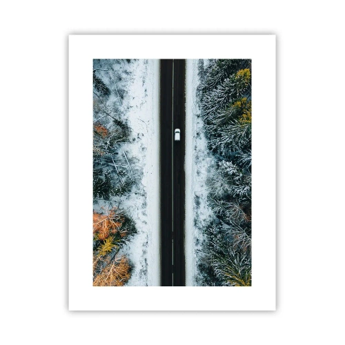 Plakat - Przeciąć zimowy las - 30x40 cm