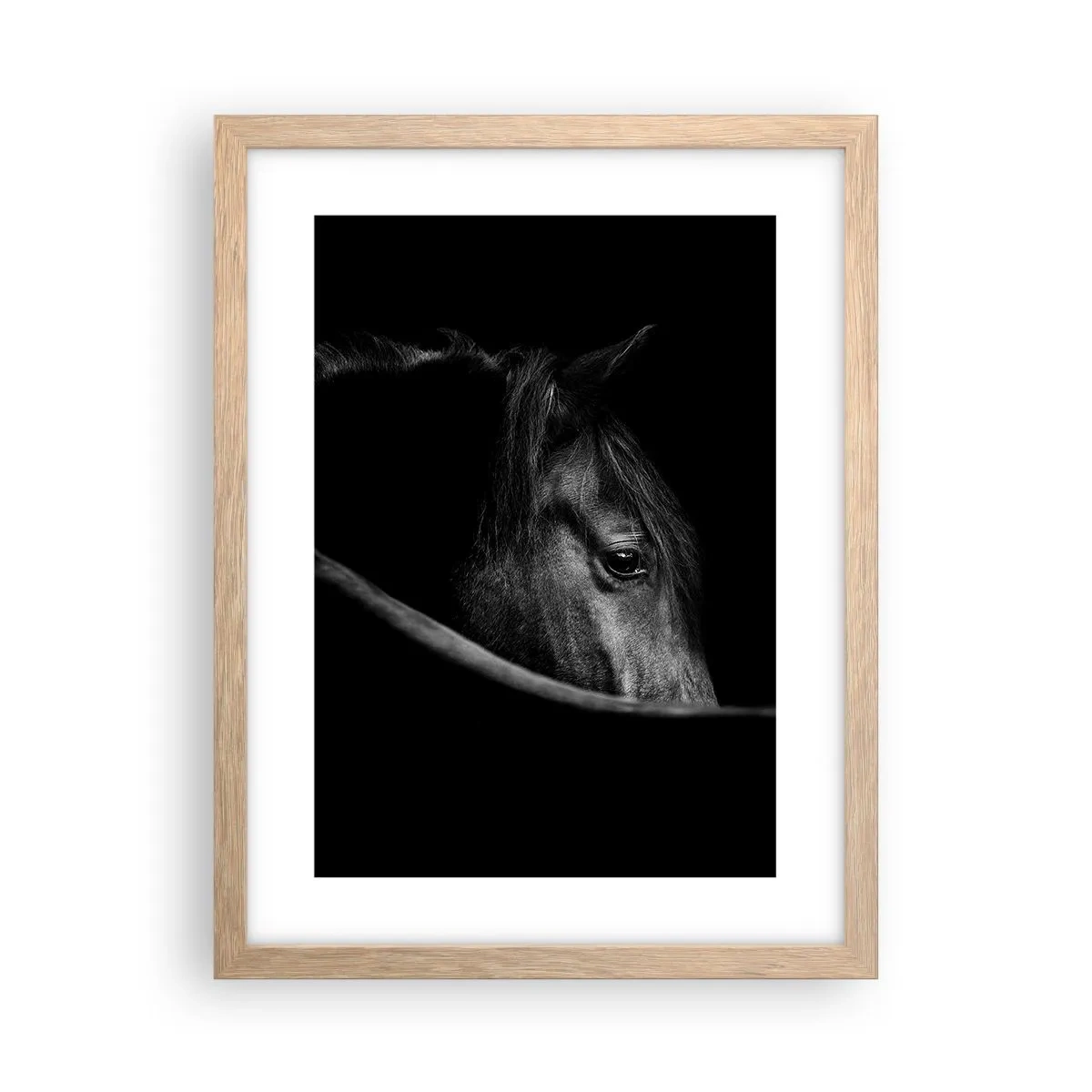 Plakat w ramie jasny dąb - Czarny książę - 30x40 cm