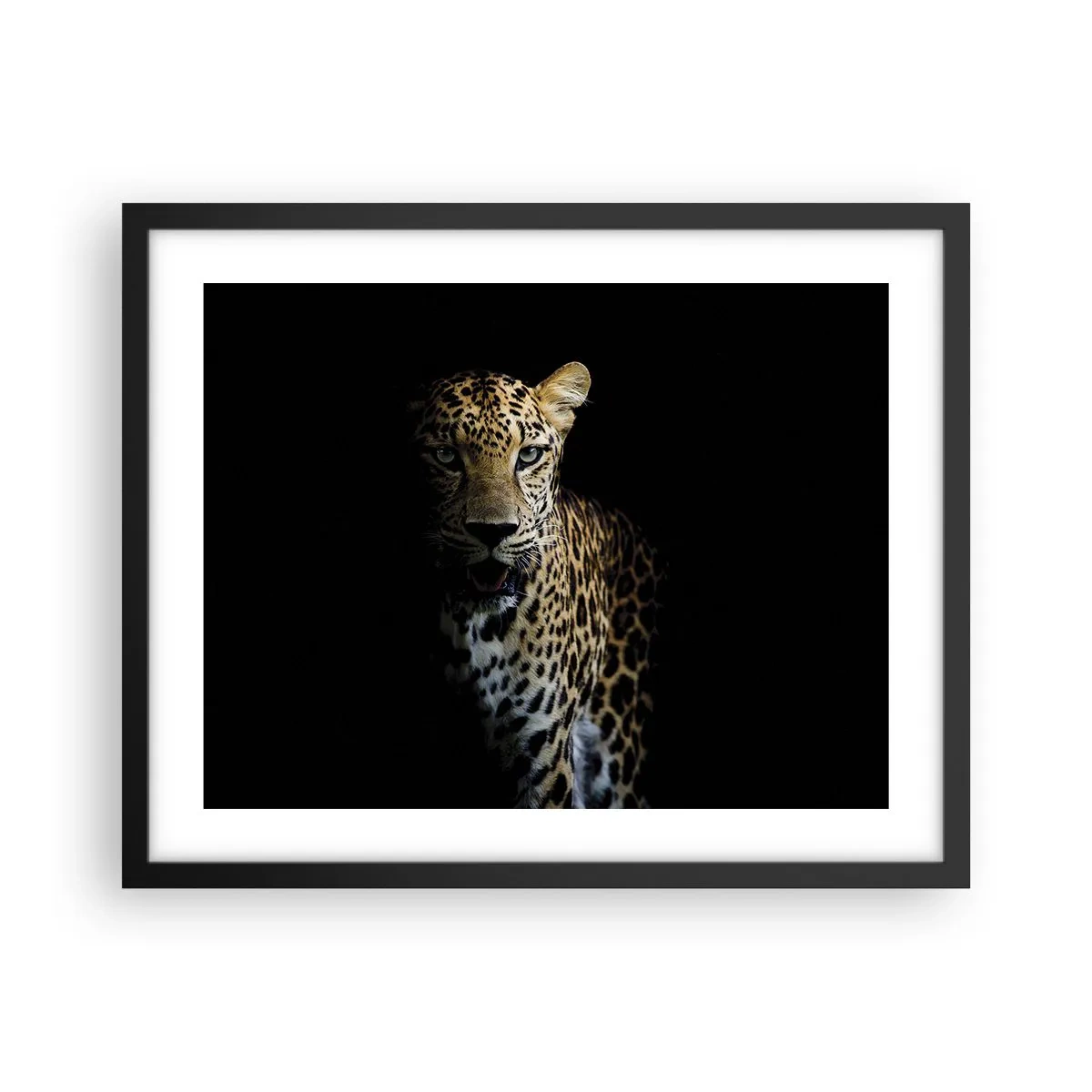 Plakat w czarnej ramie - Mroczne piękno - 50x40 cm