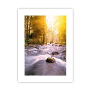 Plakat - Malachit w srebrno-złotej oprawie - 30x40 cm