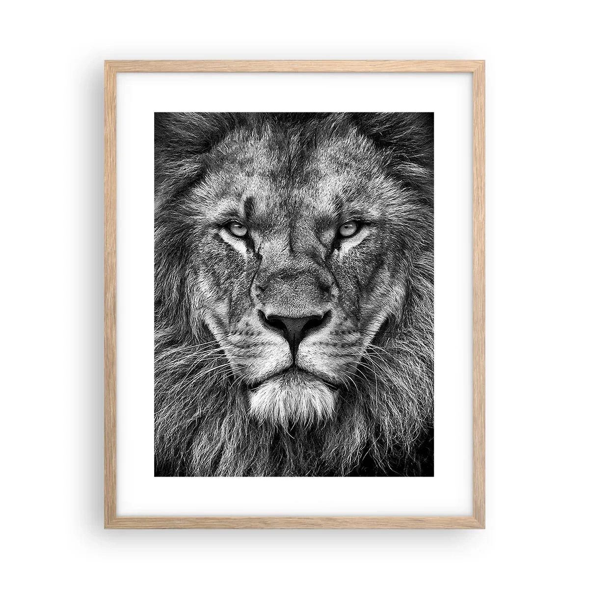 Plakat w ramie jasny dąb - W stroju koronacyjnym - 40x50 cm