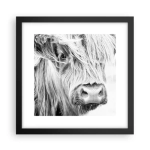 Plakat w czarnej ramie - Szkocka dzikość - 30x30 cm