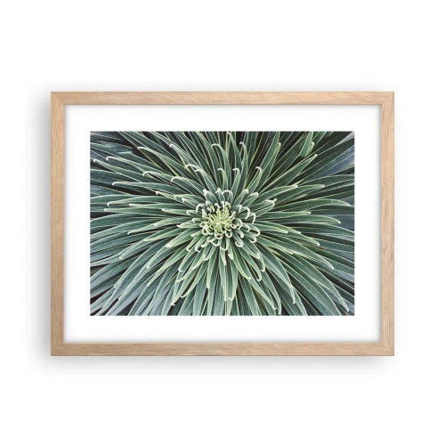 Plakat w ramie jasny dąb - Narodziny gwiazdy - 40x30 cm