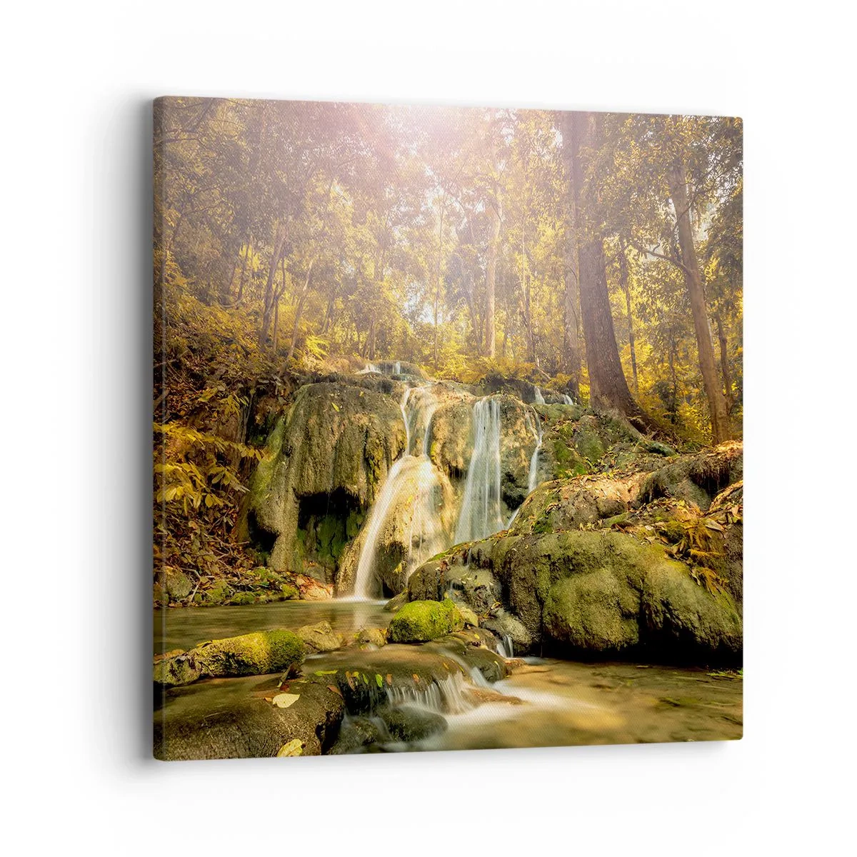 Obraz na płótnie - Leśna kaskada w zieleni - 40x40 cm