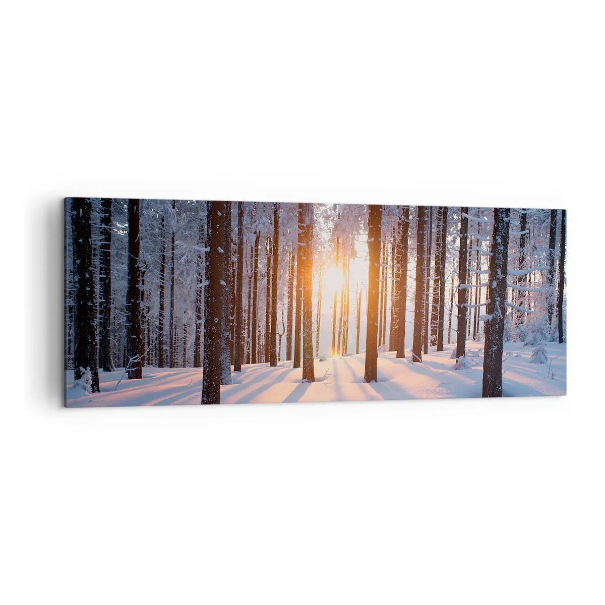 Obraz na płótnie - Zimowy las oświetlony promieniami słońca - 140x50cm - Wyraźnie czarno na białym - Nowoczesna dekoracja ścienna do salonu i sypialni ARTTOR