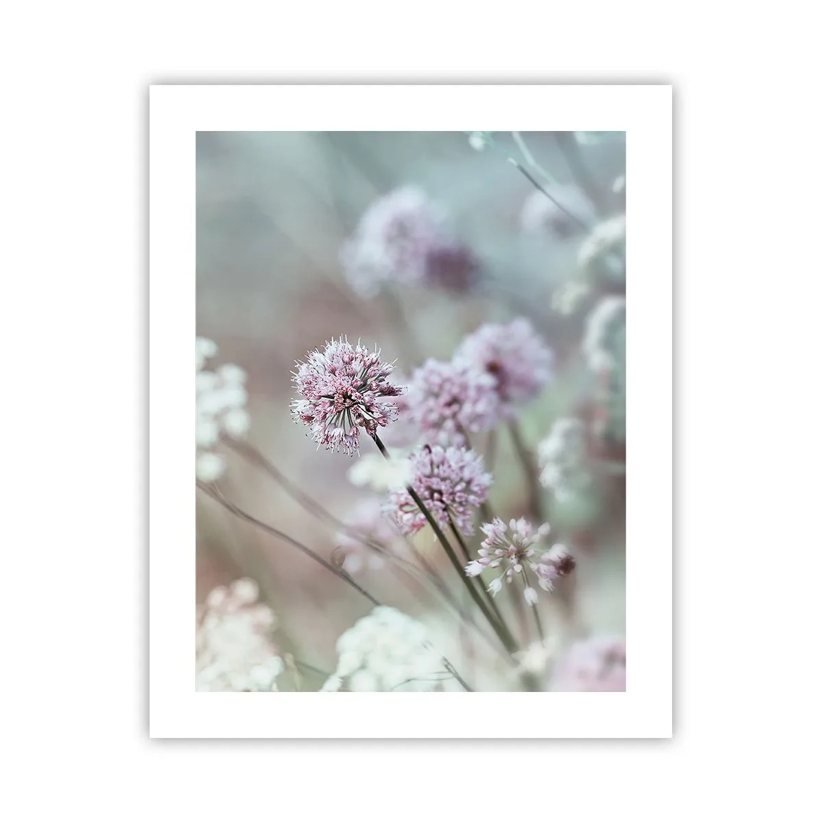 Plakat - Słodkie filigrany ziół - 40x50 cm
