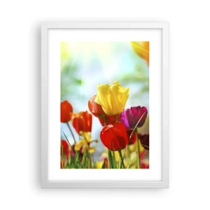 Plakat w białej ramie - Wszystkie barwy słońca - 30x40 cm