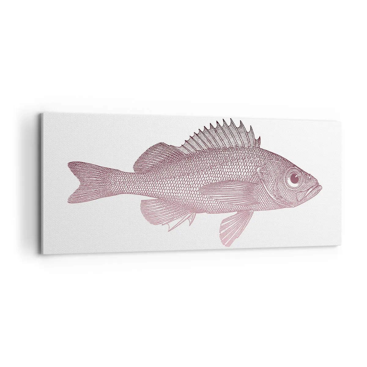 Obraz na płótnie - Ryba wielkooka - 100x40 cm