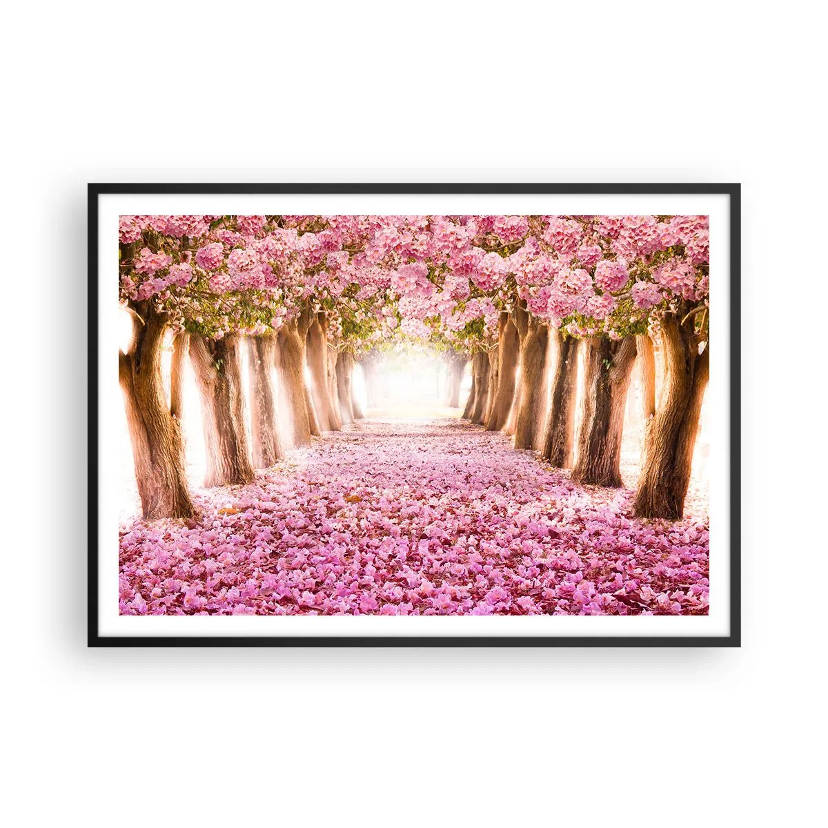 Plakat w czarnej ramie - Aleja kwitnących drzew w odcieniach różu - 100x70cm - Droga do raju - Nowoczesna dekoracja ścienna do salonu i sypialni ARTTOR