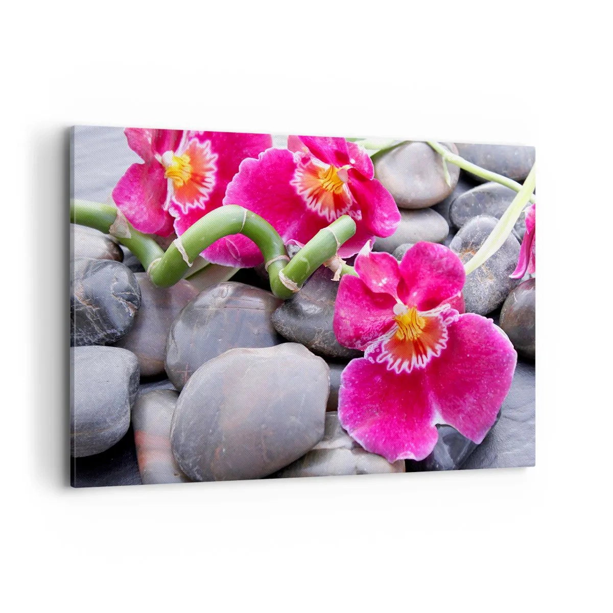 Obraz na płótnie - Różowe orchidee na tle gładkich kamieni - 120x80cm - Chłód i żar - Nowoczesna dekoracja ścienna do salonu, kuchni i sypialni ARTTOR