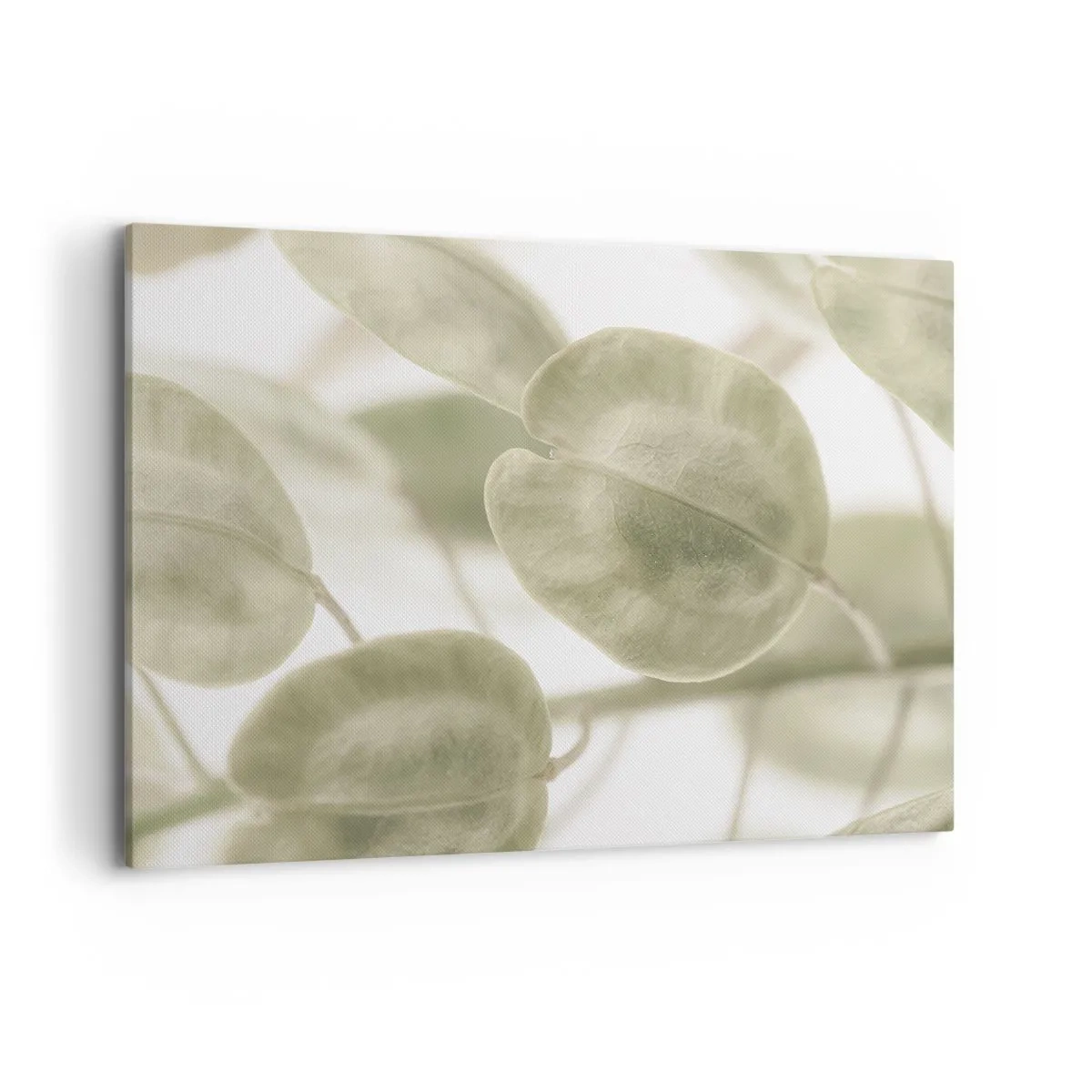 Obraz na płótnie - Delikatny obraz liści w pastelowych odcieniach zieleni na jasnym tle - 120x80cm - Na początku były listki… - Nowoczesna dekoracja ścienna do salonu, kuchni i sypialni ARTTOR