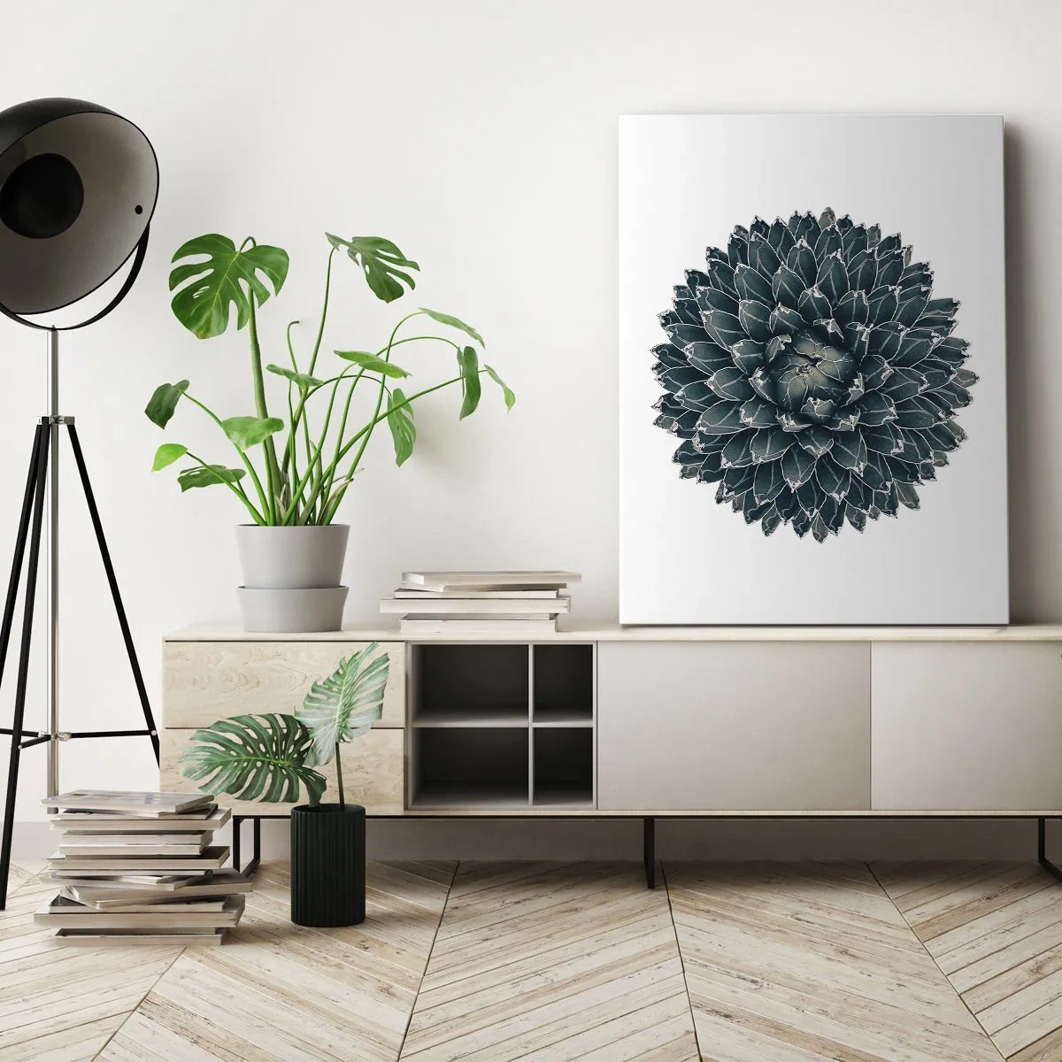 Obraz na płótnie - Symetryczna rozeta sukulenta o niebiesko-zielonych liściach na jasnym tle - 50x70cm - Gwiazda pustyni - Nowoczesna dekoracja ścienna do salonu, kuchni i sypialni ARTTOR