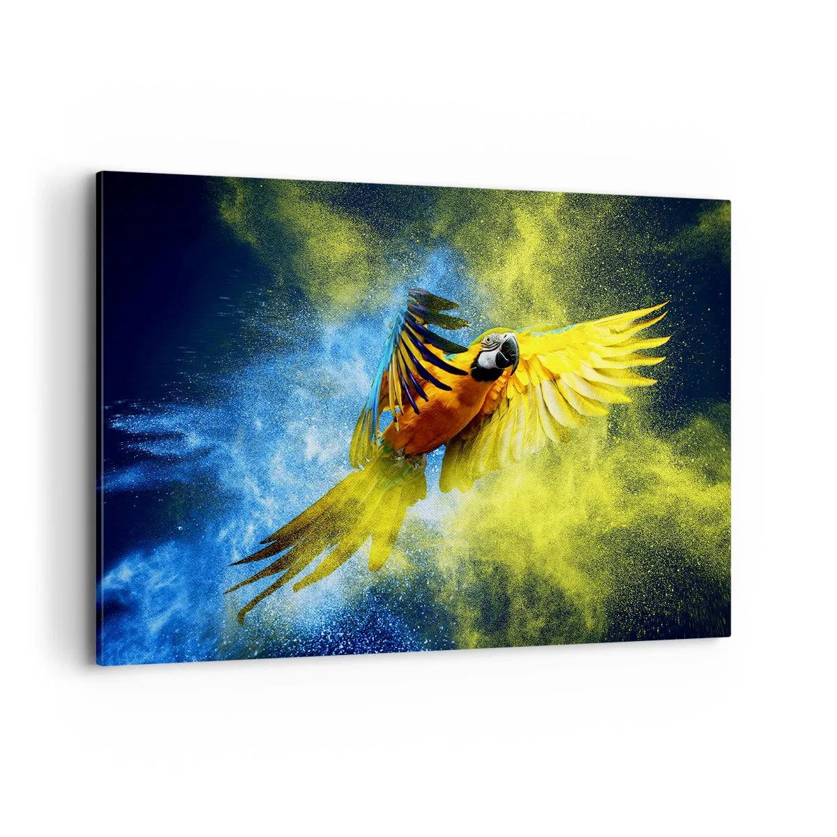 Obraz na płótnie - Papuga w locie na tle kolorowych eksplozji żółtego i niebieskiego - 100x70cm - W błękitno-złotym pyle - Nowoczesna dekoracja ścienna do salonu, kuchni i sypialni ARTTOR