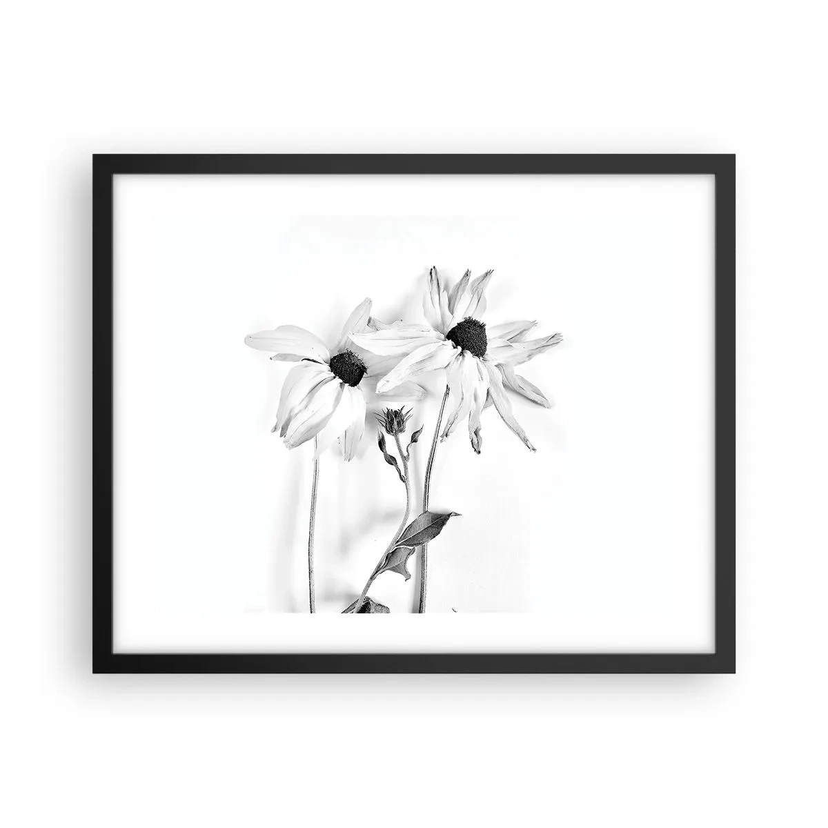 Plakat w czarnej ramie - Nikt nie chce być sam - 50x40 cm