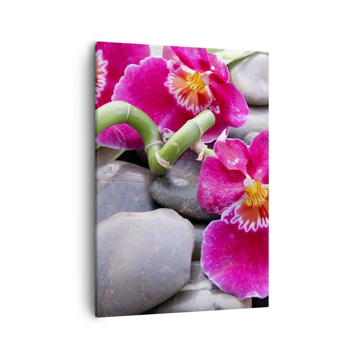 Obraz na płótnie - Różowe orchidee z bambusem na kamieniach w stylu spa - 50x70cm - Chłód i żar - Nowoczesna dekoracja ścienna do salonu, kuchni i sypialni ARTTOR