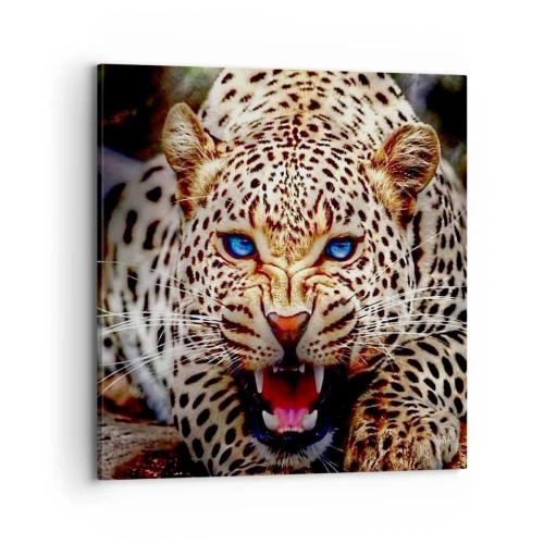 Obraz na płótnie - Złość piękności nie szkodzi - 70x70 cm