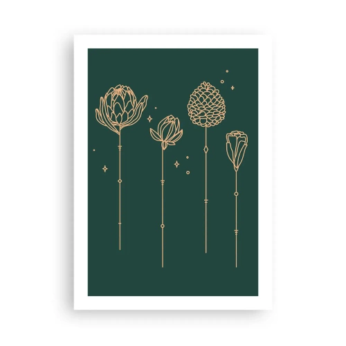 Plakat - Złote kontury kwiatów na ciemnozielonym tle - 50x70cm - Rodzina ZIÓŁkowskich - Nowoczesna dekoracja ścienna do salonu, kuchni i sypialni ARTTOR