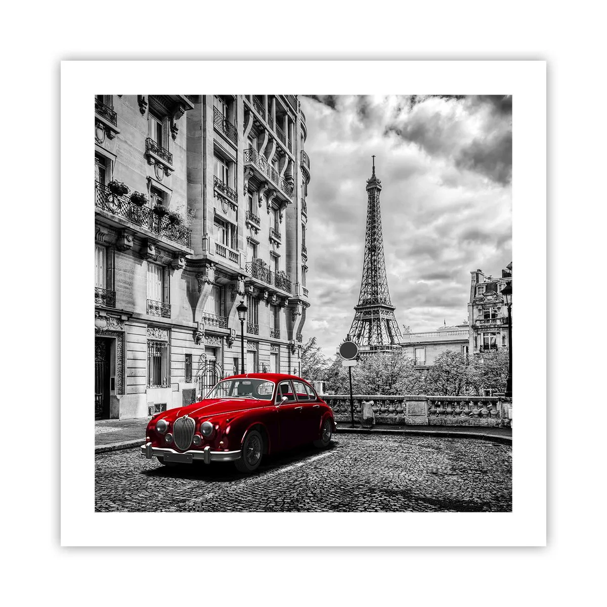 Plakat - Drapieżnik w mieście - 50x50 cm