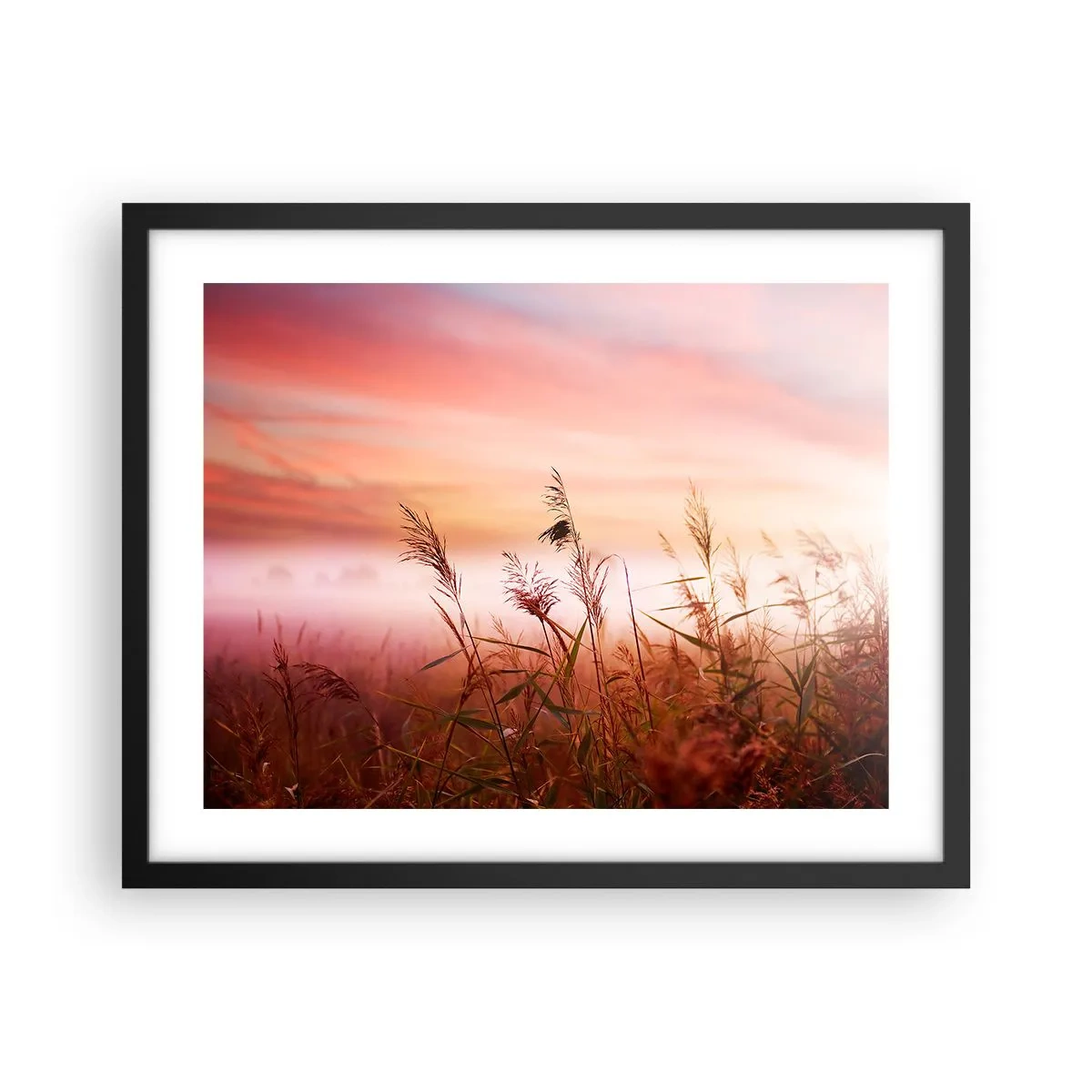 Plakat w czarnej ramie - Latawce, dmuchawce, wiatr - 50x40 cm