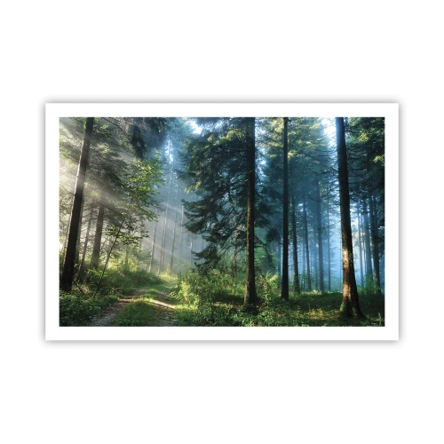 Plakat - Rozpromieniony o poranku - 91x61 cm