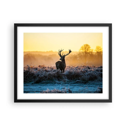 Plakat w czarnej ramie - Koronowany na swoich włościach - 50x40 cm
