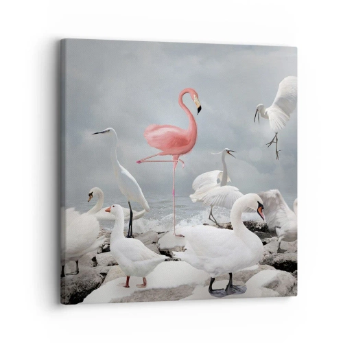 Obraz na płótnie - Skąd się tu wziąłem? - 30x30 cm