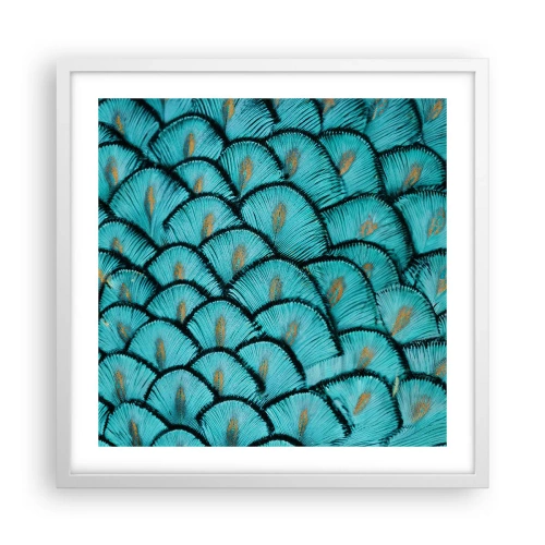 Plakat w białej ramie - Wielka gala piór - 50x50 cm