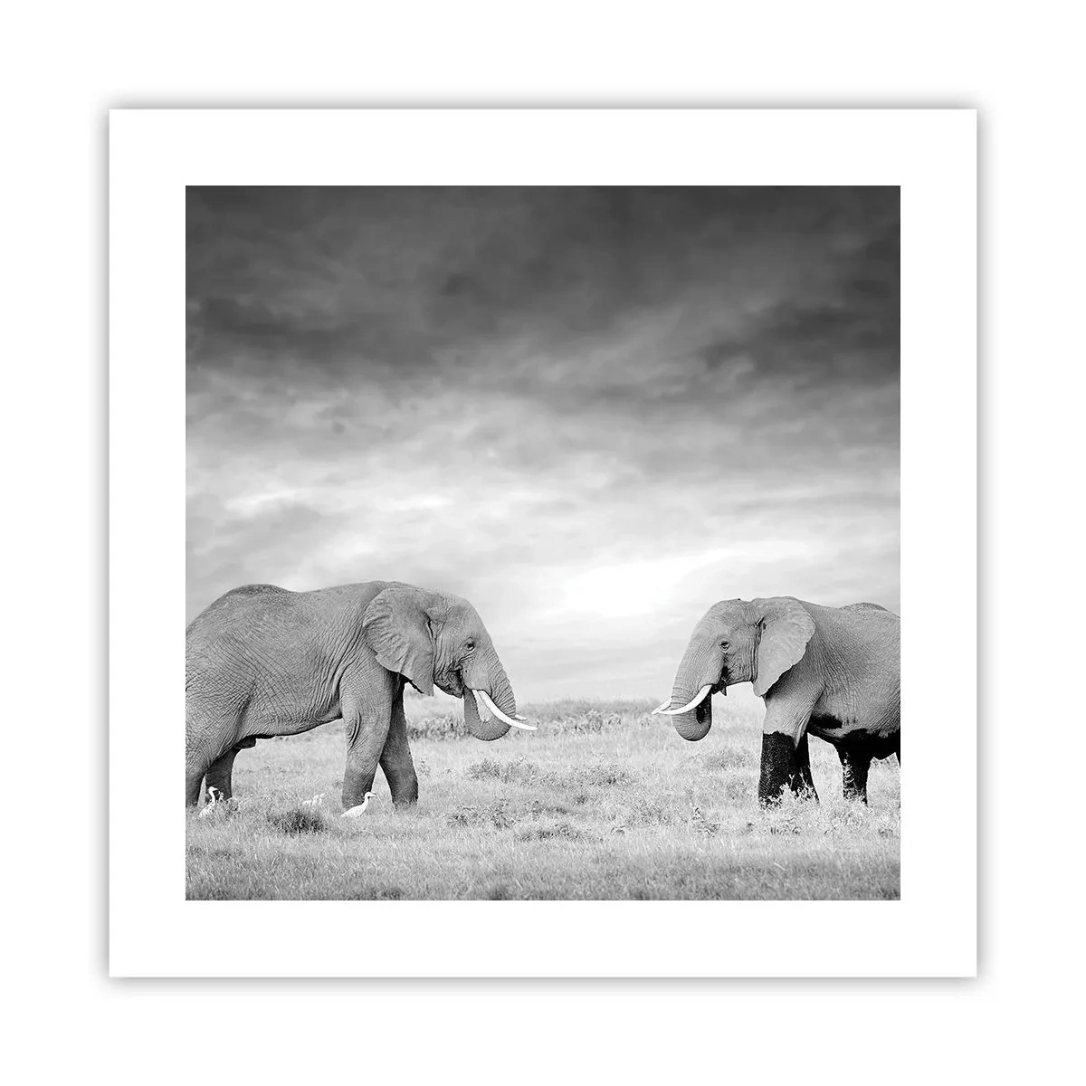 Plakat - Szare jest piękne - 40x40 cm