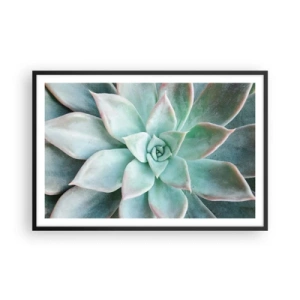 Plakat w czarnej ramie - Serce pustyni - 91x61 cm