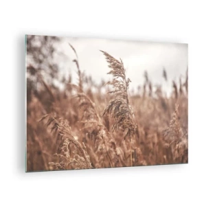 Obraz na szkle - Suszone trawy na wietrze w jesiennym świetle natury - 70x50cm - Na polach już jesień - Nowoczesna dekoracja ścienna do salonu i sypialni ARTTOR