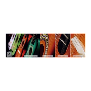 Fototapeta Próbka Premium Sand - Gitara ma wiele barw - Muzyka, Gitara, Instrument Muzyczny - 100x30 cm