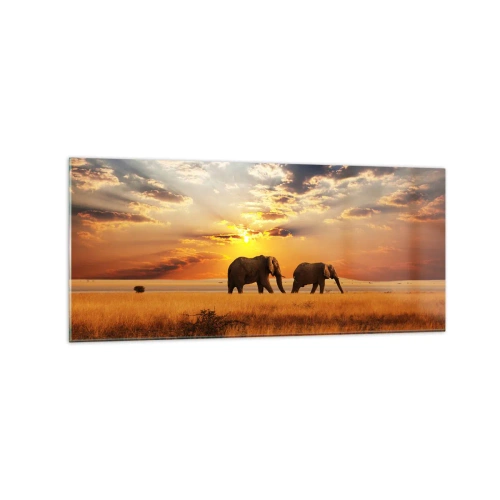 Obraz na szkle - Słonie na sawannie przy zachodzie słońca - 120x50cm - Rodzinna przechadzka - Nowoczesna dekoracja ścienna do salonu i sypialni ARTTOR