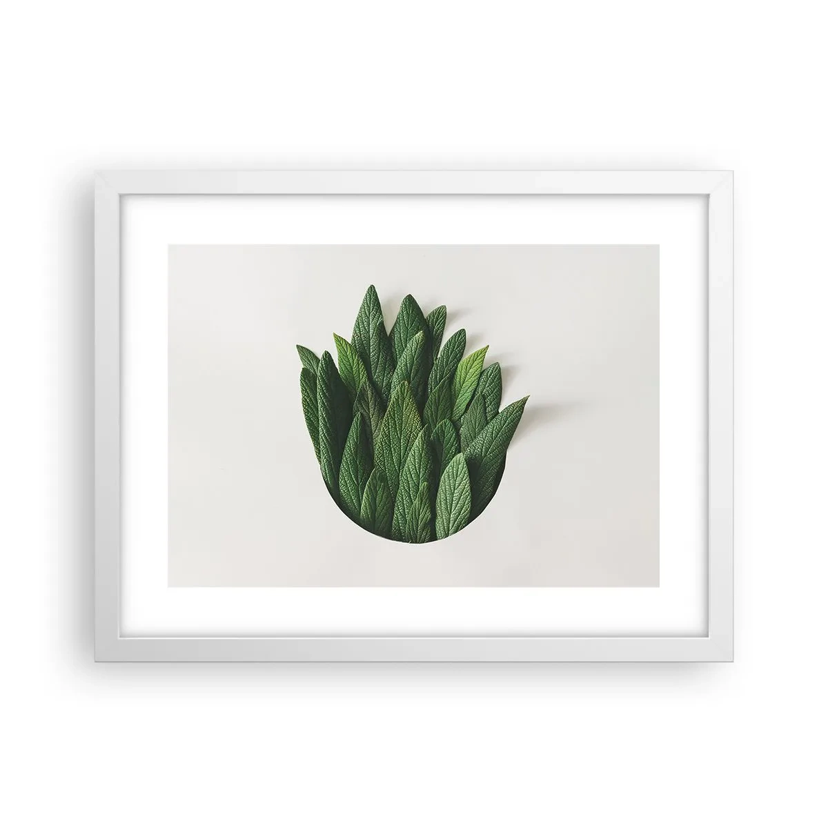 Plakat w białej ramie - Nieposkromiona ciekawość - 40x30 cm