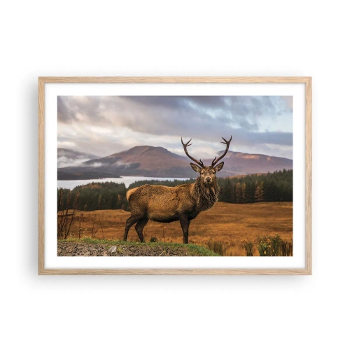 Plakat w ramie jasny dąb - Majestat natury - 70x50 cm