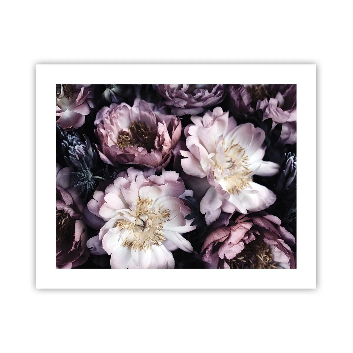 Plakat - Bukiet w dawnym stylu - 50x40 cm