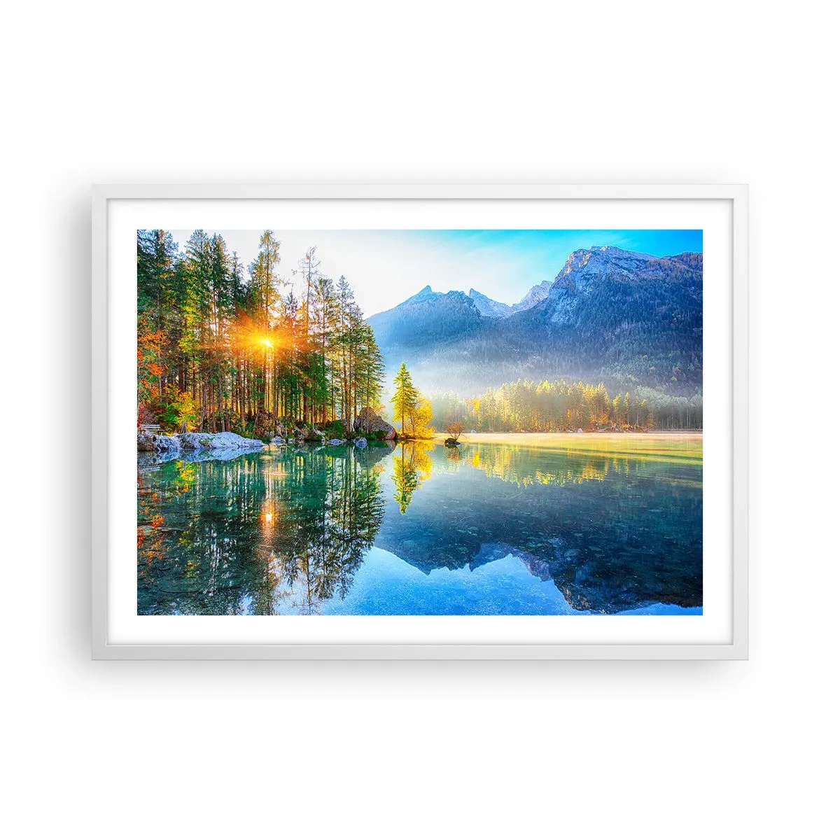 Plakat w białej ramie - Majestat i słodycz - 70x50 cm