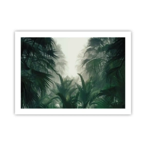 Plakat - Tropikalna tajemnica - 70x50 cm