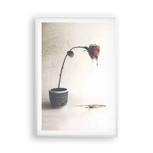 Plakat w białej ramie - Rosa dolorosa - 61x91 cm