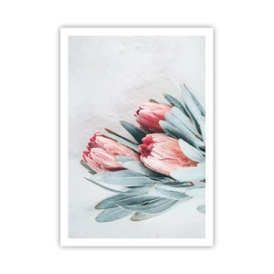 Plakat - Zawstydzone własną urodą - 70x100 cm