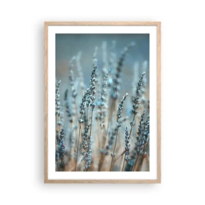 Plakat w ramie jasny dąb - Pachnący łan - 50x70 cm