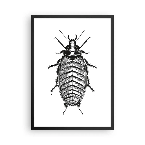 Plakat w czarnej ramie - Czarno-biała ilustracja owada w detalicznym stylu - 50x70cm - Co za okaz! - Nowoczesna dekoracja ścienna do salonu i sypialni ARTTOR