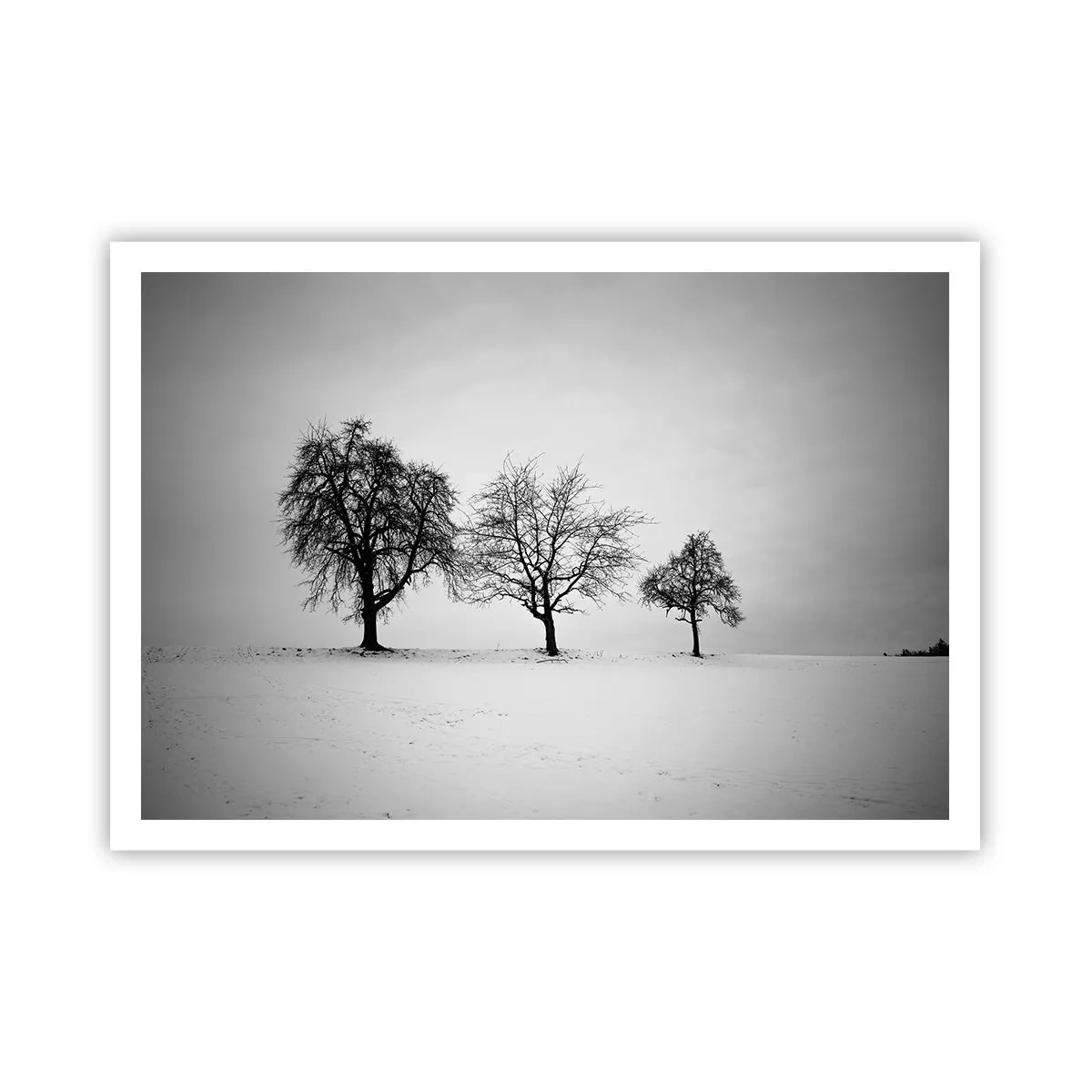 Plakat - Trzy drzewa na zaśnieżonym polu w monochromatycznym stylu - 100x70cm - O czym śnią? - Nowoczesna dekoracja ścienna do salonu i sypialni ARTTOR