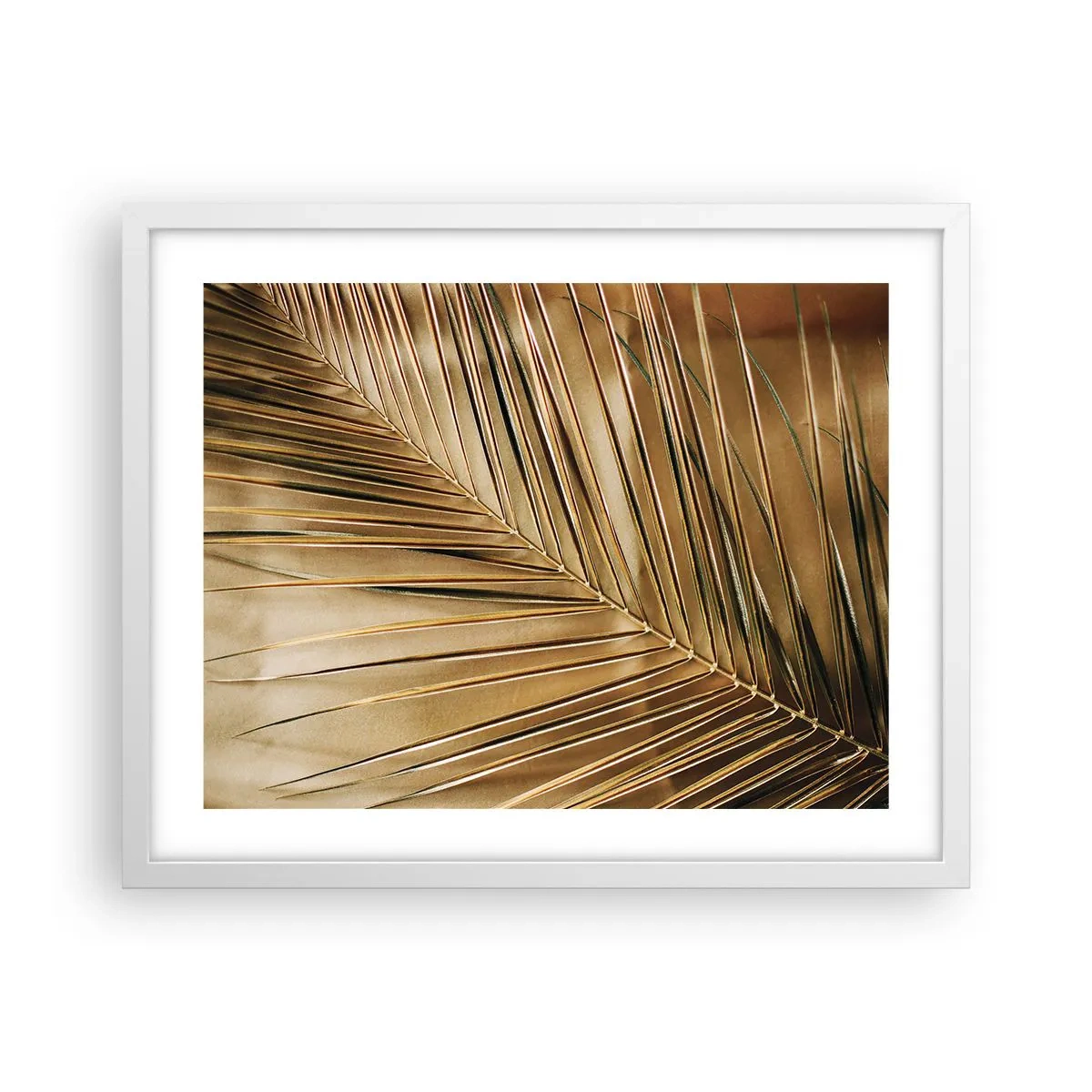 Plakat w białej ramie - Naturalna kolumnada - 50x40 cm